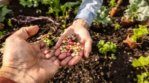 7 légumes surprenants à semer avant mai pour sortir des sentiers battus au potager cette saison