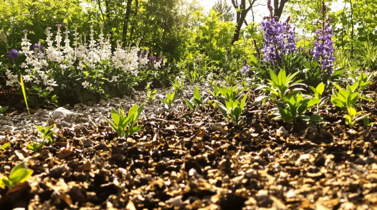 Comment créer un massif de vivaces zéro entretien pour structurer le jardin dès le printemps Comment créer un massif de vivaces zéro entretien pour structurer le jardin dès le printemps