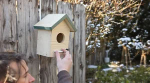 J’ai installé un nichoir au jardin, mais aucun oiseau n’y vient : la vraie raison enfin expliquée